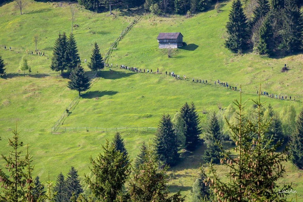Alergători pe pajiștea de pe Bucla 3