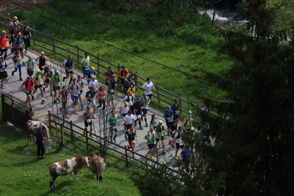 Runners at the start in Moieciu de Sus